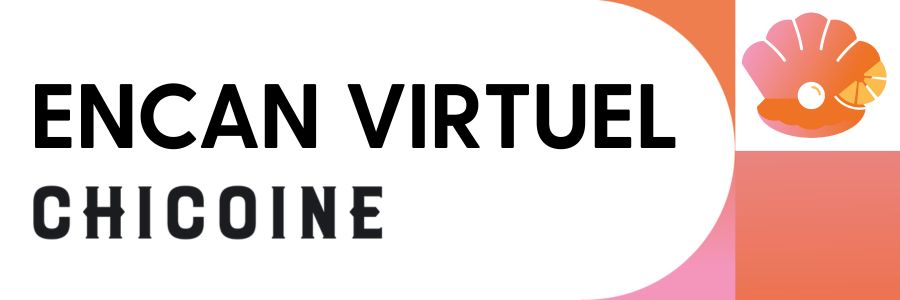 Encan virtuel partie d'huîtres Fondation du CHG Chicoine